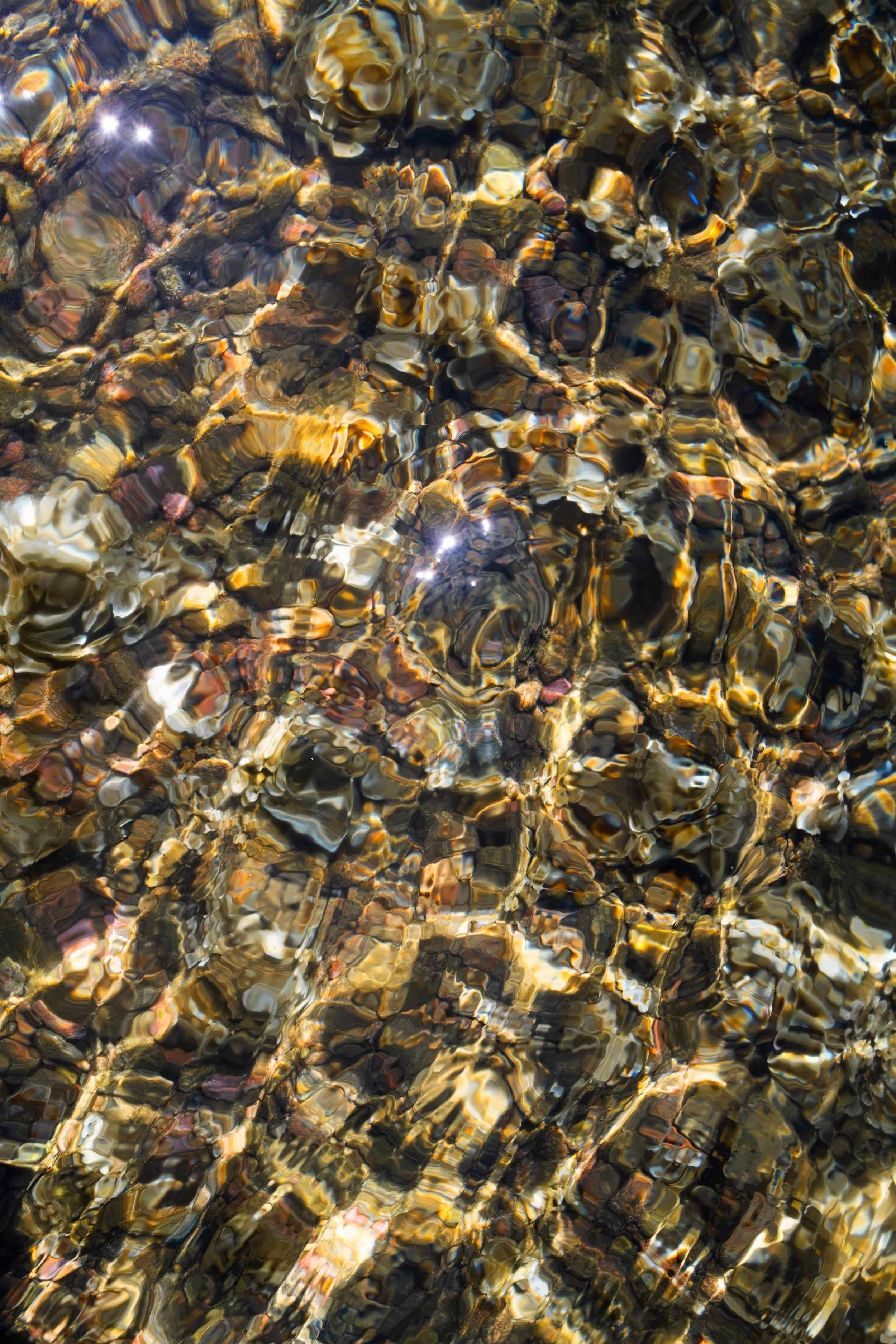 DSCF1244.jpg