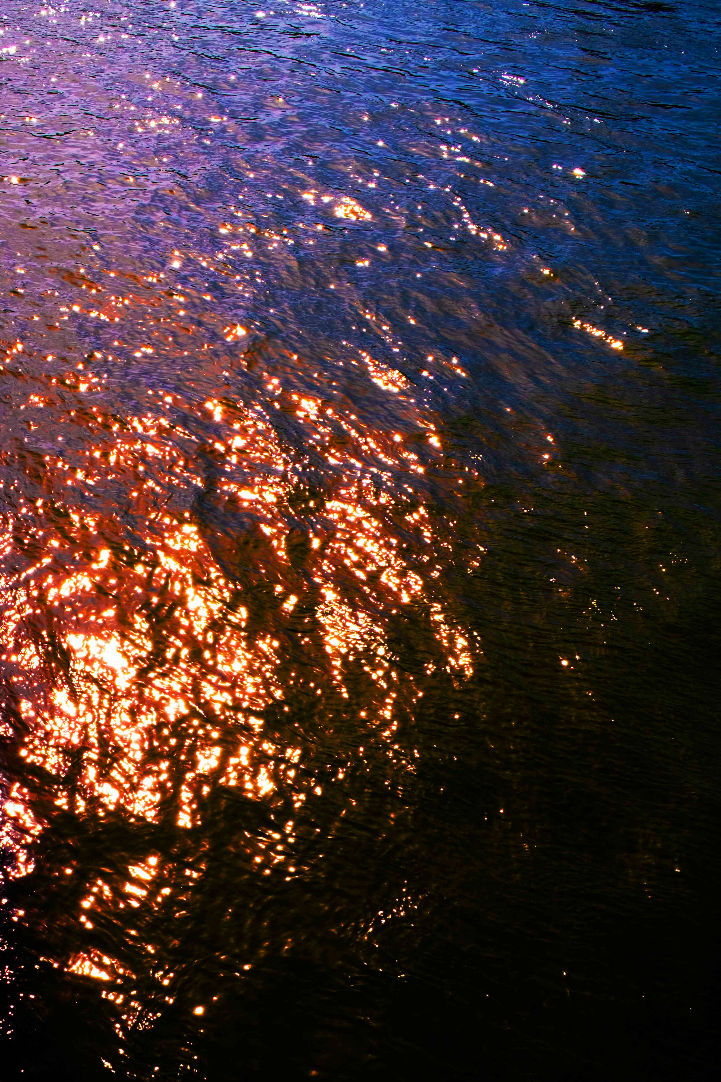 LA SEINE.jpg