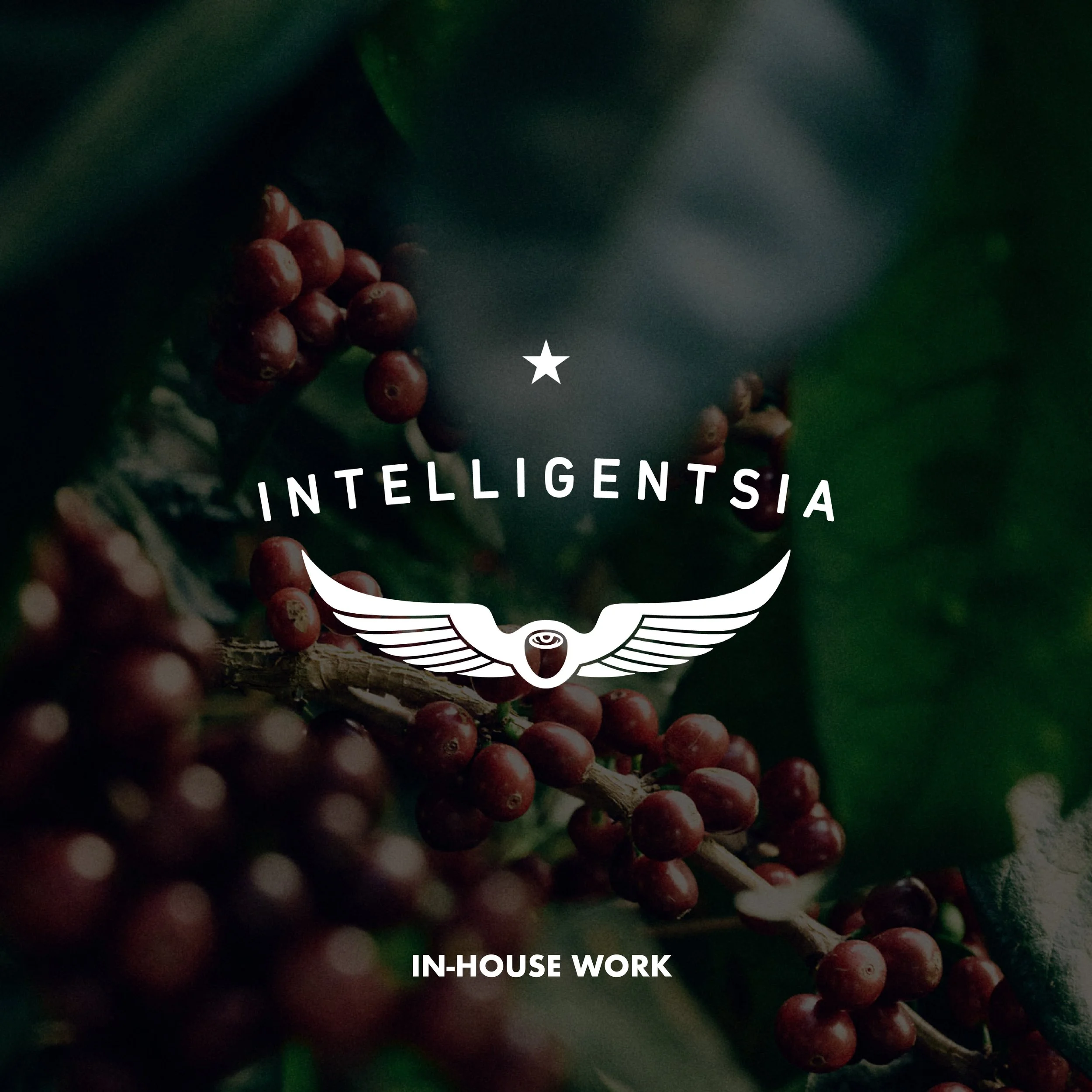  INTELLIGENTSIA 
 
Digital Marketing, Packaging, Merch Design, & More