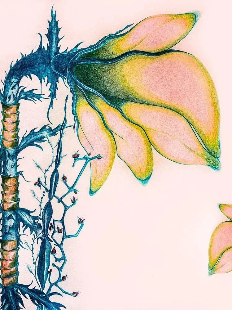 Beautifully Imperfect