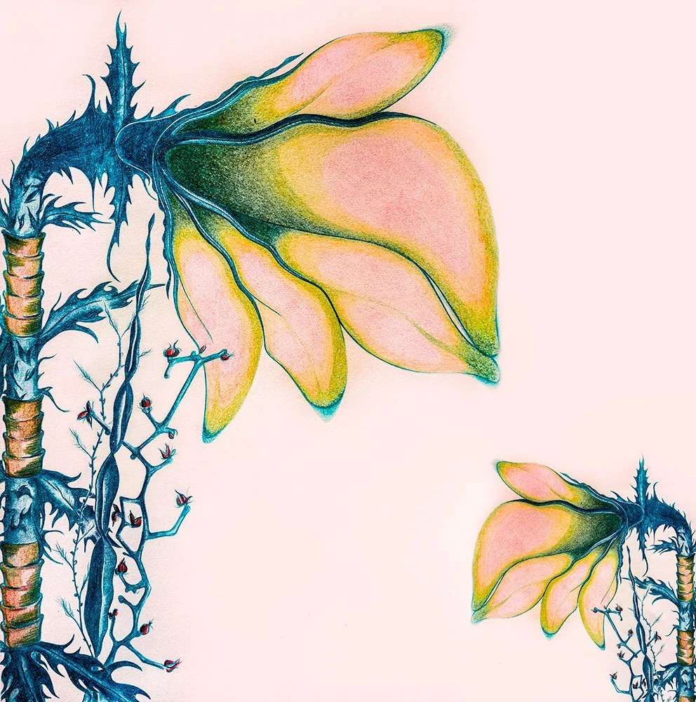 Fragile - digital graph art | 25 x 25 cm | 2016