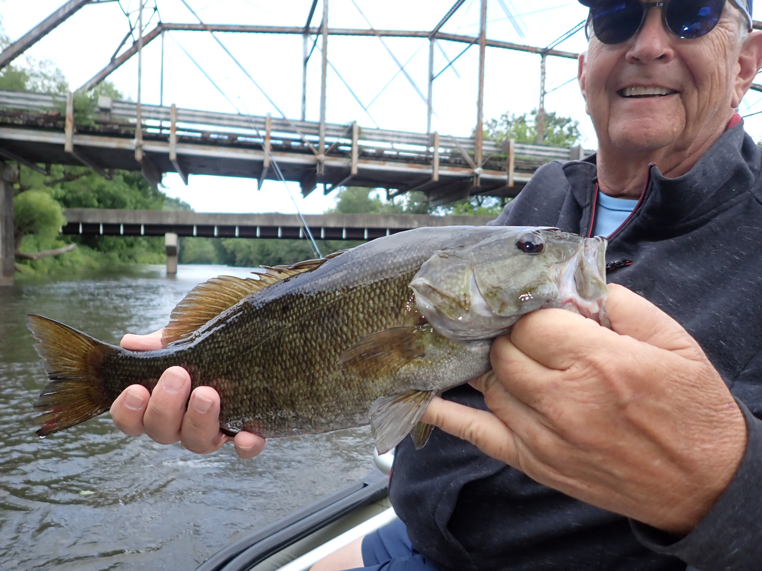 beauty bass.JPG