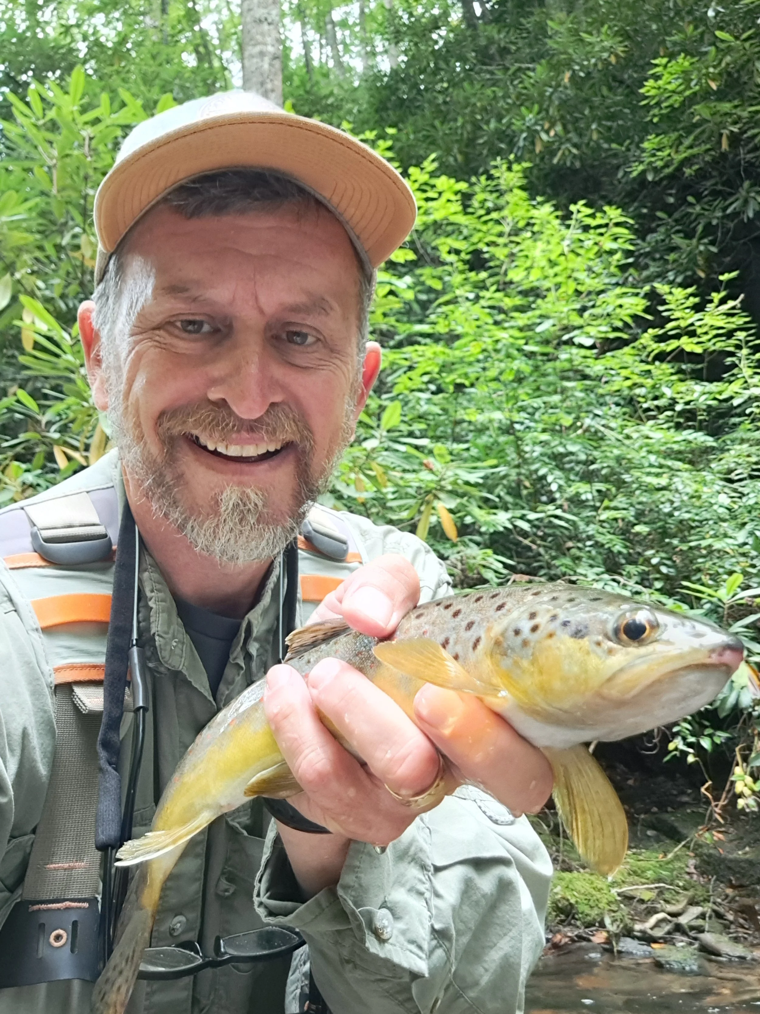 small creek brown 1.jpg
