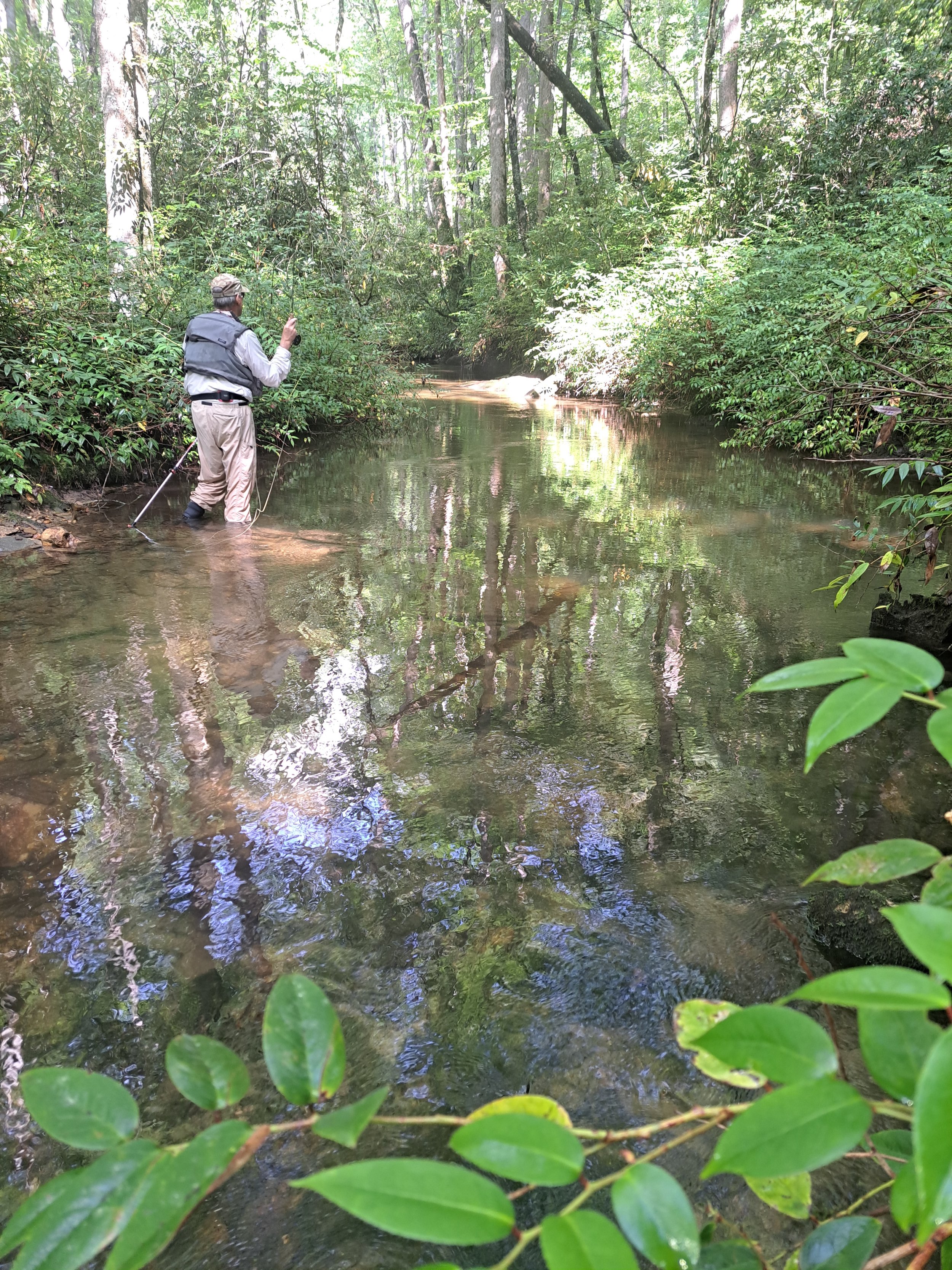 small creek 3.jpg