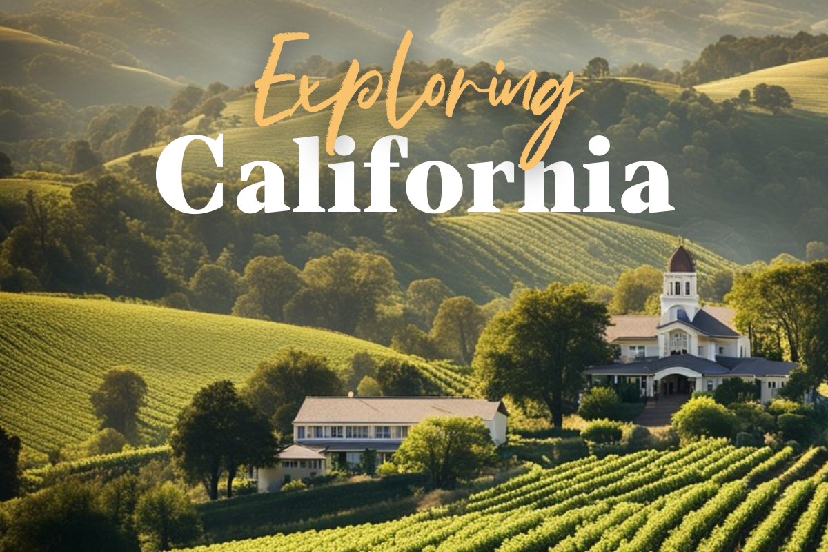 California Wine Tasting in London: Sun-Kissed Wines & Good Times Await