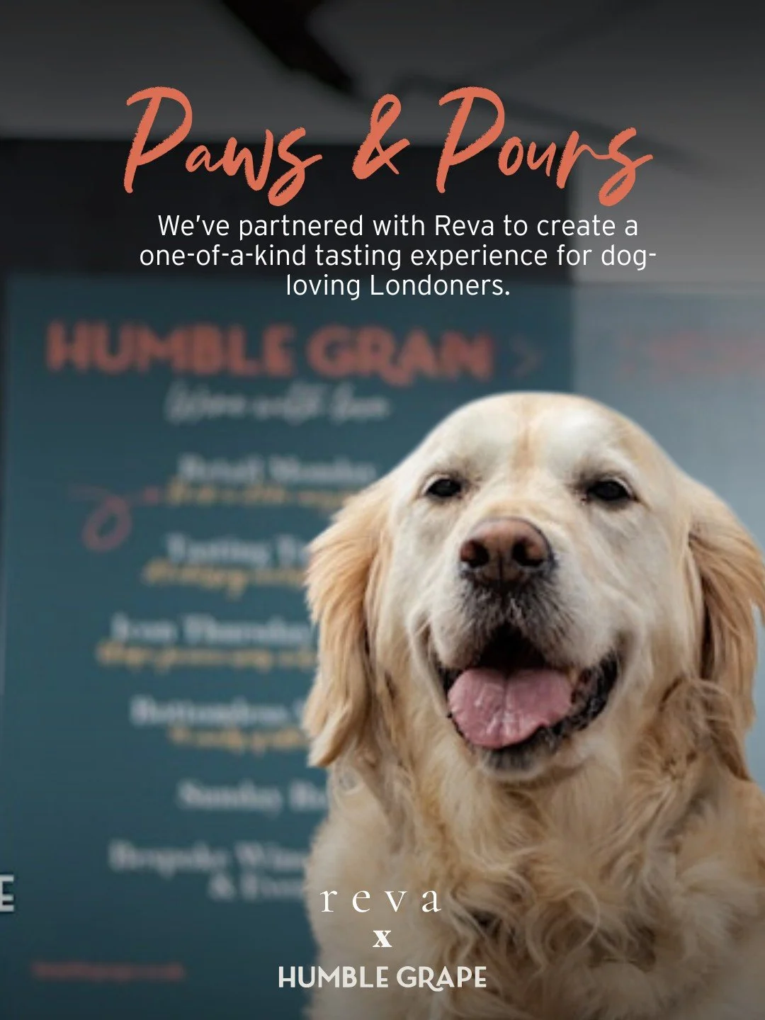 We&rsquo;ve partnered with Reva, the destination for thoughtfully curated pet care, to create a one-of-a-kind tasting experience for dog-loving Londoners 🍷🐾 Last few tickets left so grab yours now before they sell out 🎟️

Enjoy a 45-minute guided 
