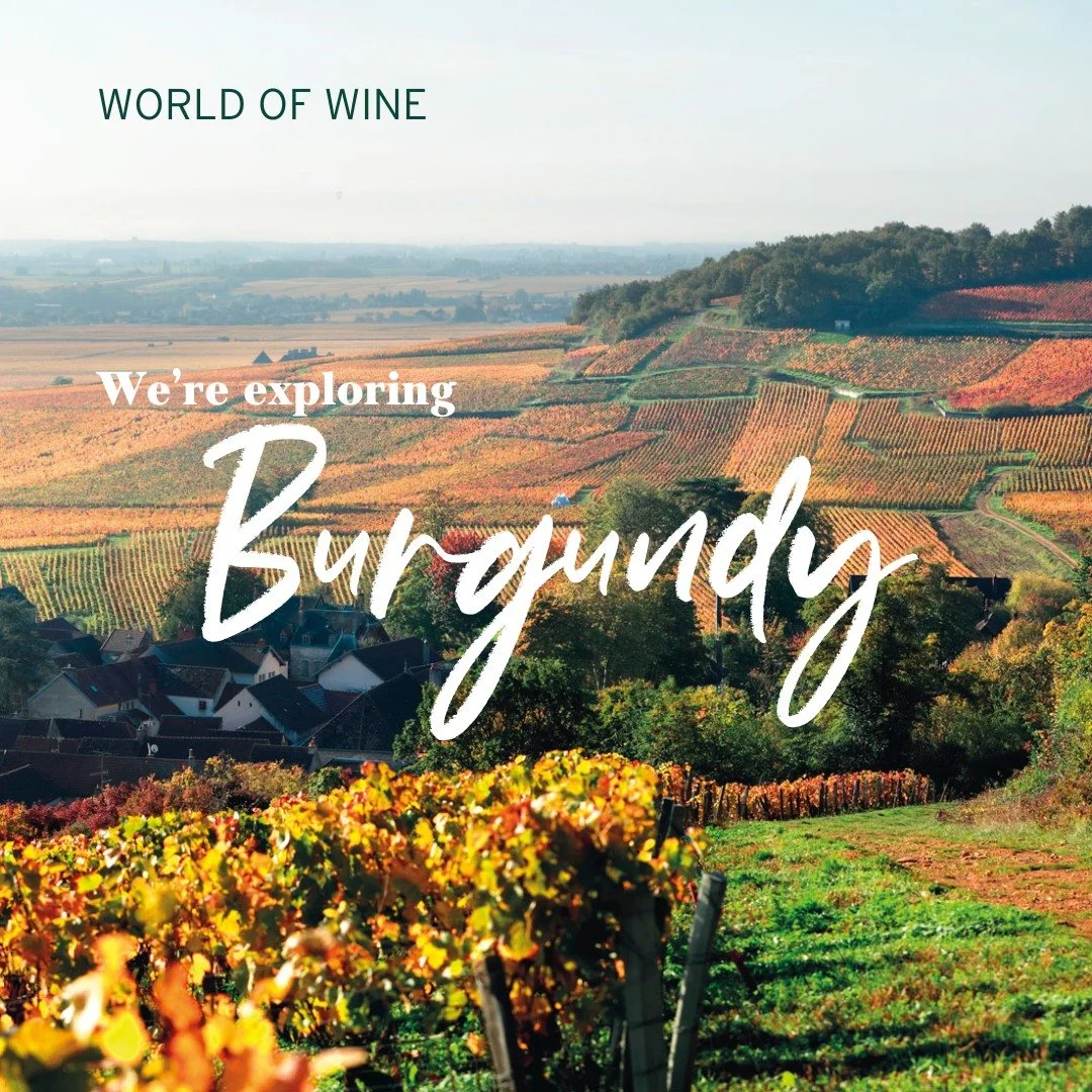 Burgundy - this season&rsquo;s must wear shade, and coincidentally, one of our all-time favourite wine regions. It's so iconic, it doesn't really need an intro.

We&rsquo;ve got four tastings lined up (although two are already sold out), a monthly fl