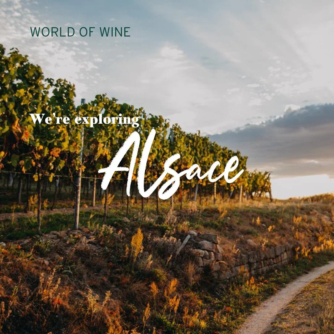 The Alsace region of eastern France nestles snugly against the German border, and its wines are a vivid reflection of that proximity. As with the nearby German wine regions of Pfalz, Baden and Mosel, Alsace is known for its light, aromatic, zesty, mi