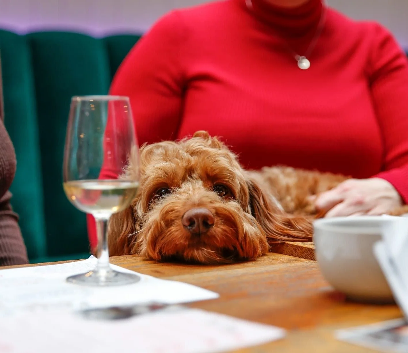 We're proudly dog friendly all year round, and we've teamed up with Reva to bring you Paws &amp; Pours - a dog friendly wine tasting running regularly in Islington and Canary Wharf. April is National Pet Month, so this is your sign to grab some ticke