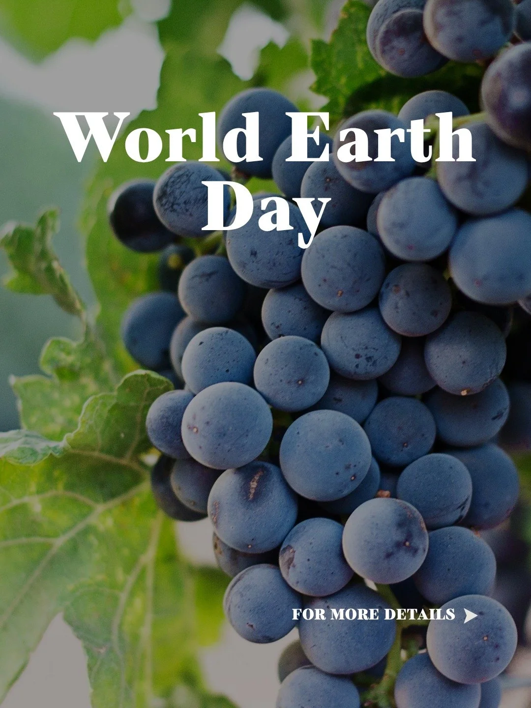 Sure, it&rsquo;s World Earth Day, but we like to think of ourselves as Mother Nature fans 365 days a year🌿

She does the hard work: growing our food, nurturing the vines, and making every great glass of wine possible. And for the past 16 years, our 