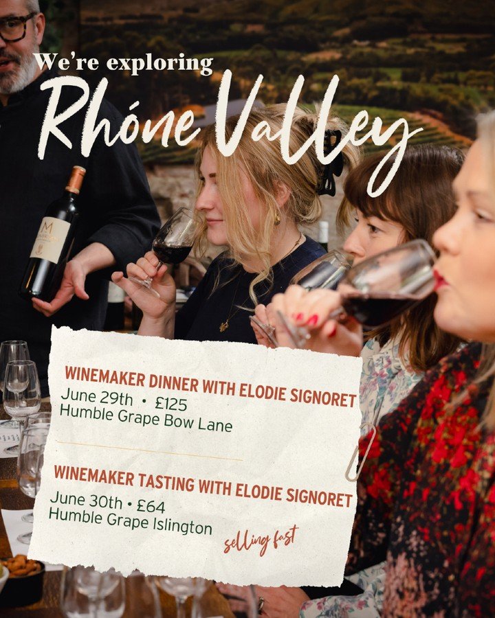 Did you know: The Rh&ocirc;ne Valley is the second biggest wine region in France and has a winemaking heritage spanning over two millennia. So widespread is the appeal of the wines that somewhere in the world, a Rhone Valley wine is savored every 13 