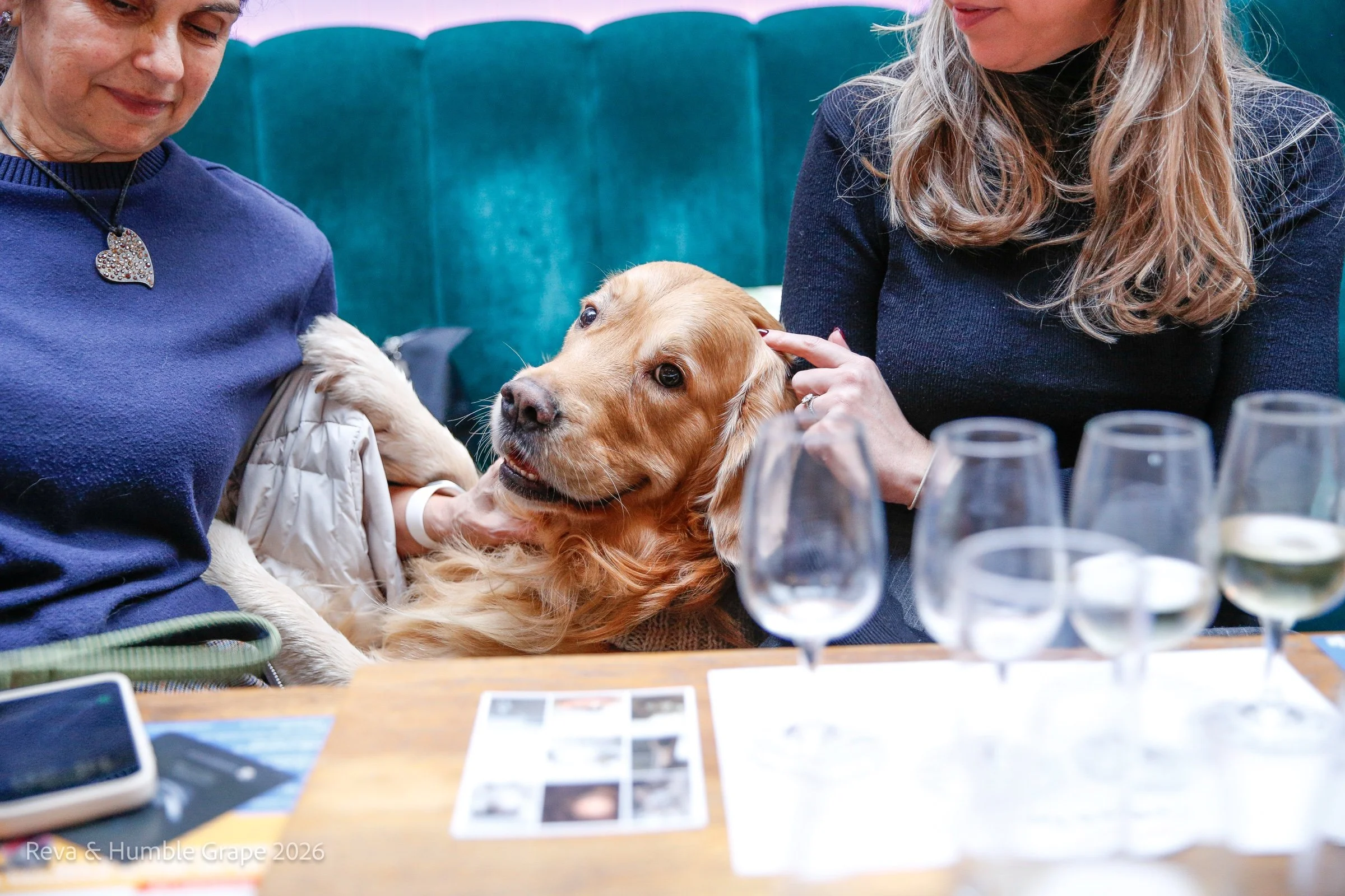A dog sits beside two guests at a Humble Grape table.