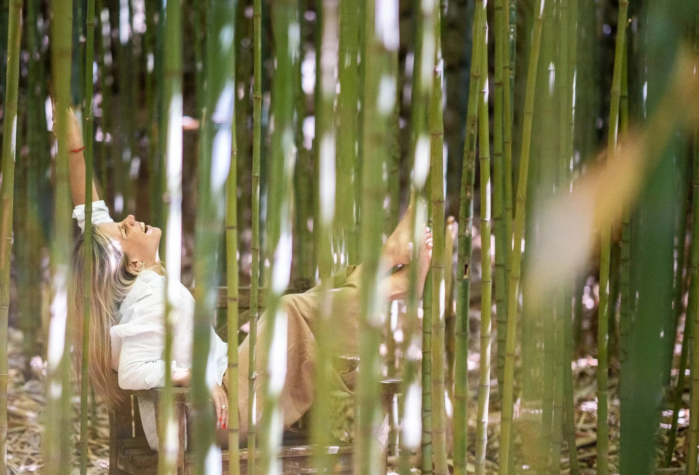 Paula Torraco — boutique coaching practice for founders, leaders and seekers. Human Design, 1:1 coaching, and team workshops. Based in Amsterdam, working globally.