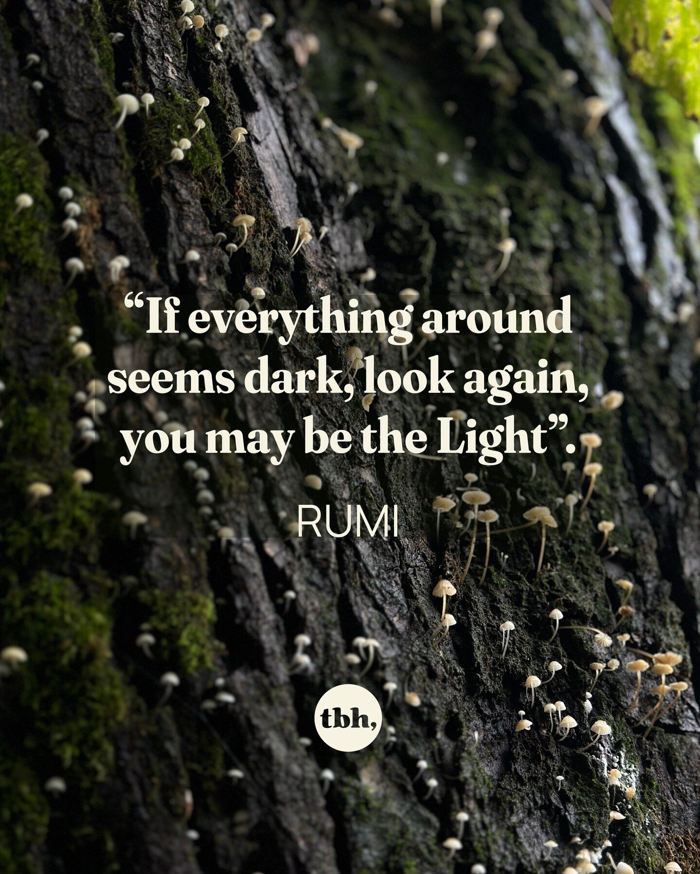 May you shine bright ✨⁠
⁠
Love, ⁠
⁠
Paula⁠
⁠
⁠
#rumi #rumiquotes #dark #light #lovewins