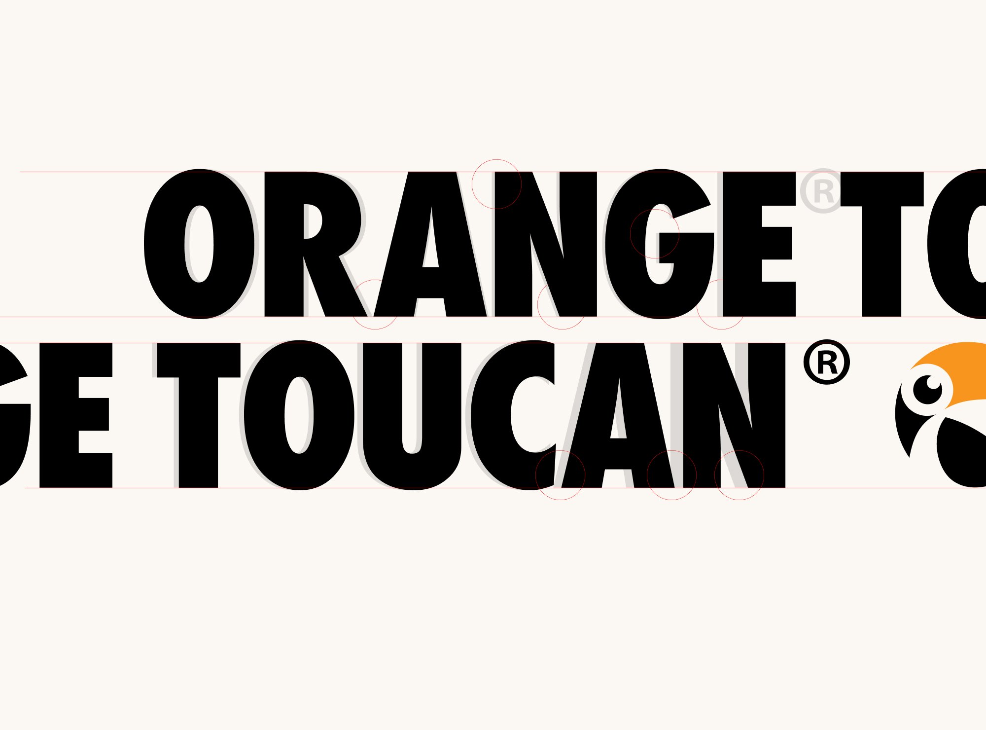 LAMMERS-GIJS-ORANGETOUCAN18.jpg