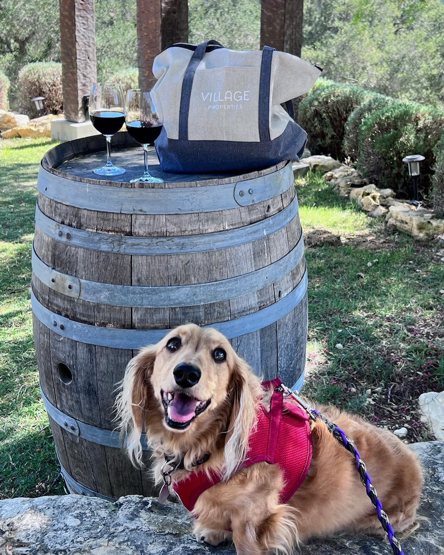 Crosby loving wine country