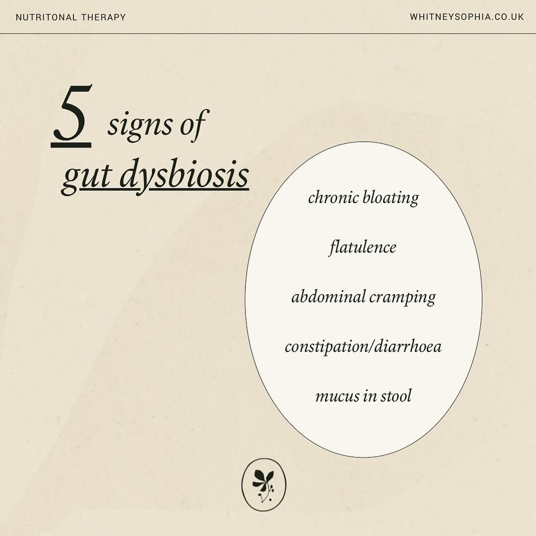 5 SIGNS OF GUT DYSBIOSIS //

These are the 5 most common signs of gut dysbiosis that I see in clinic. Why do I care bout the gut when I&rsquo;m focussing my practice on fertility? Because gut function is IMPERATIVE for women&rsquo;s hormones, immune 