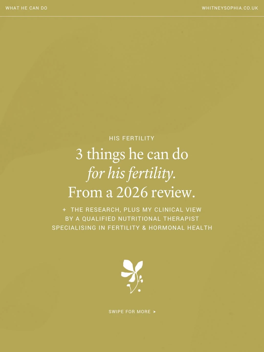 A 2026 Harvard-led review looked at diet and supplements for fertility. Nuts and fewer sugary drinks are confirmed in research as having a positive impact on male fertility, and I&rsquo;ve added my own view on his gut health which is something I work
