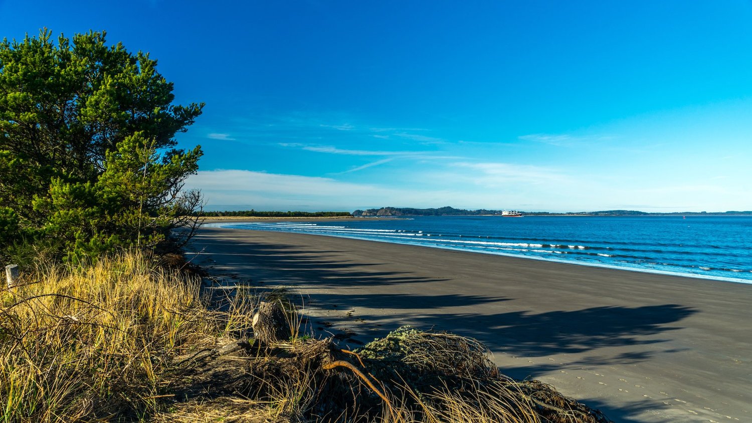 Chinook, Washington Facts and Listings — Long Beach Property Realtor Doug Knutzen