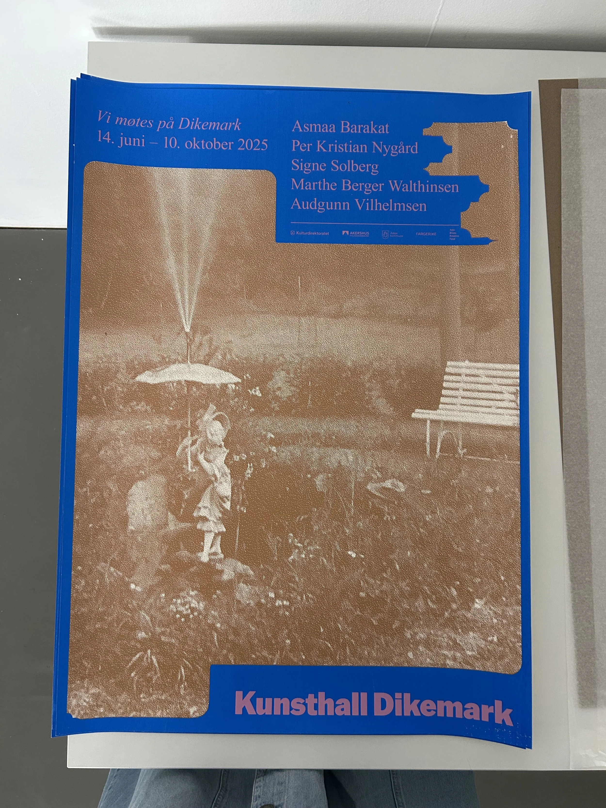 Silketrykk: Vi møtes på Dikemark (2025)