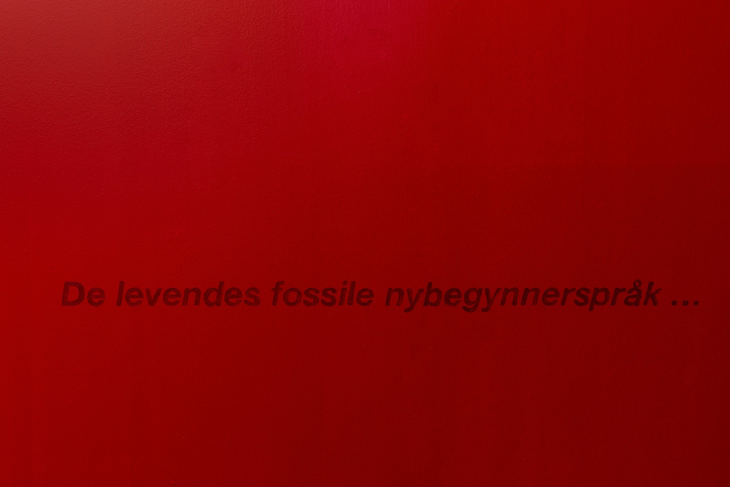 2023_10_Trafo_Kunsthall_WebRes_17.jpg