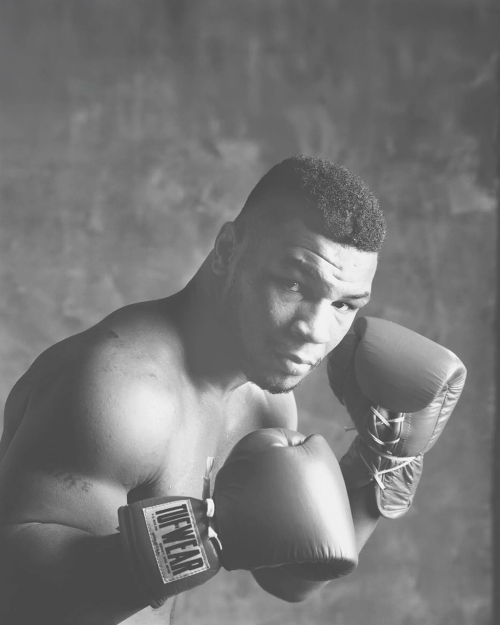 TYSON.He's_Back.Fin.jpg