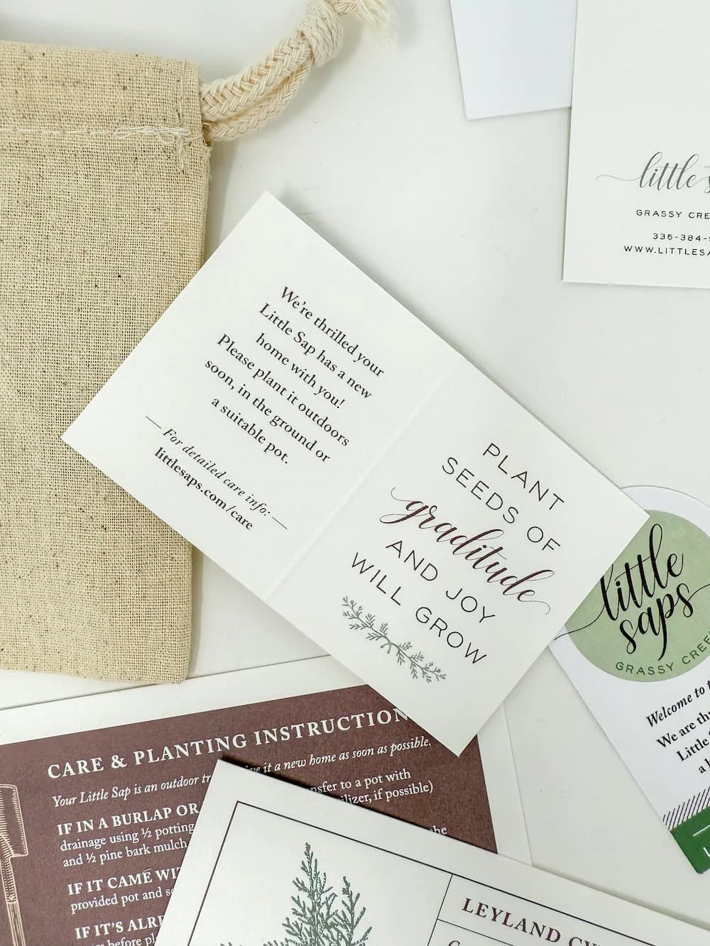 Little Saps gift tree tag Plant seeds of gratitude and joy will grow