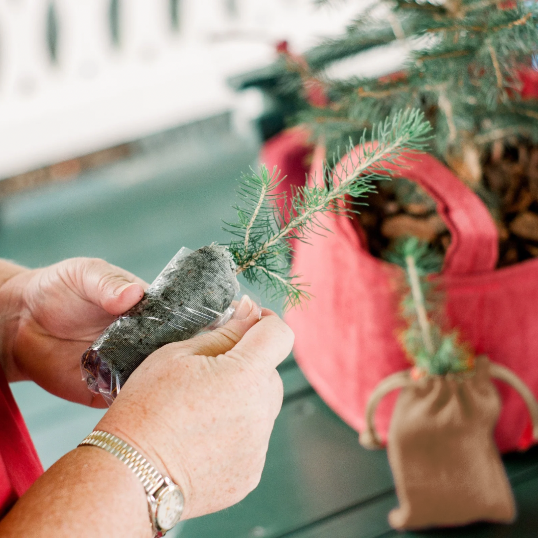 Little Saps gift favors being prepared, including a mini sapling in burlap bag, each will be tied with a festive holiday tag.