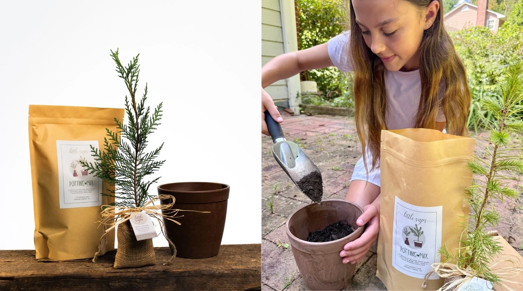 Little Saps Planting Kit & Girl planting her Little Saps tree