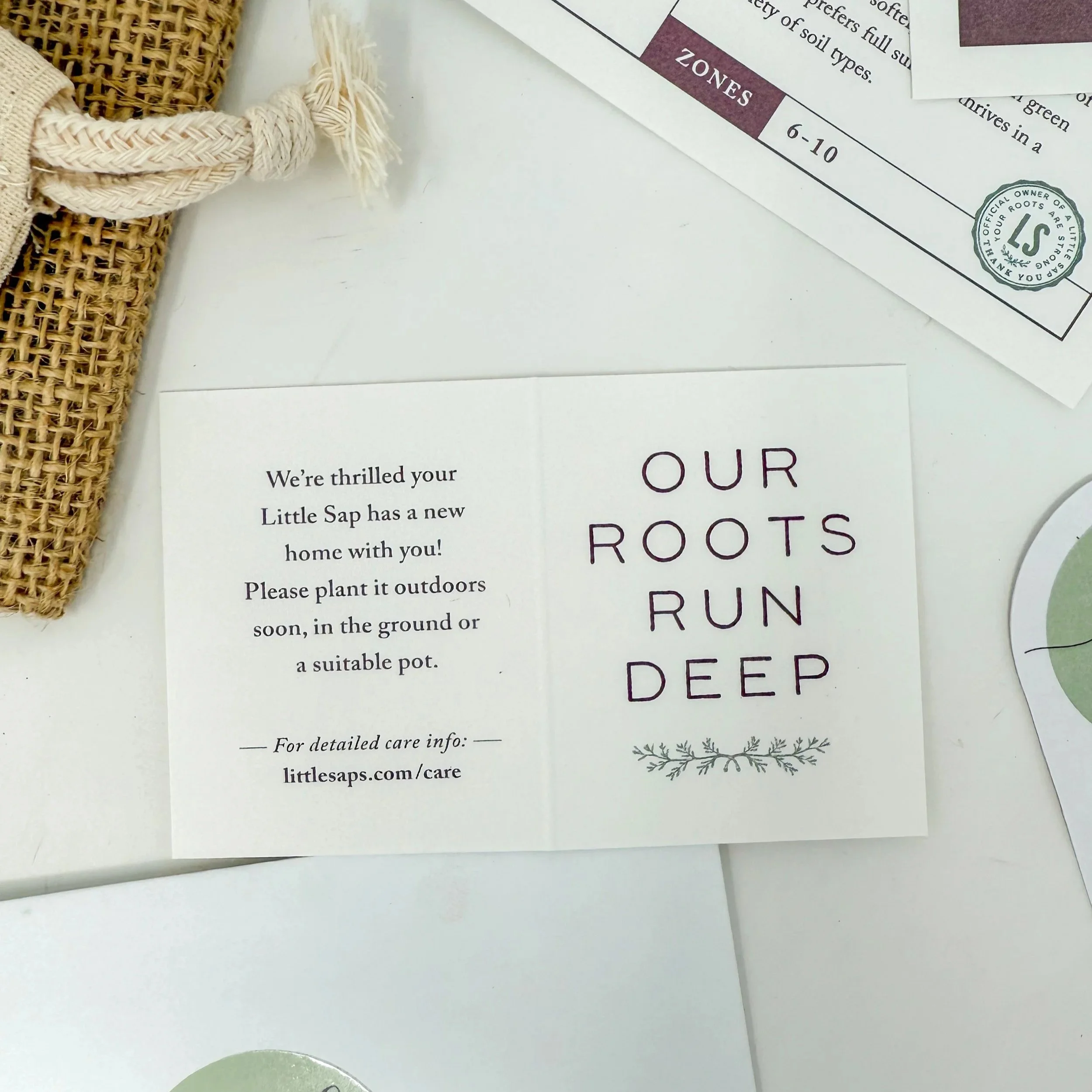 Tag+-+Our+Roots+Run+Deep.jpg
