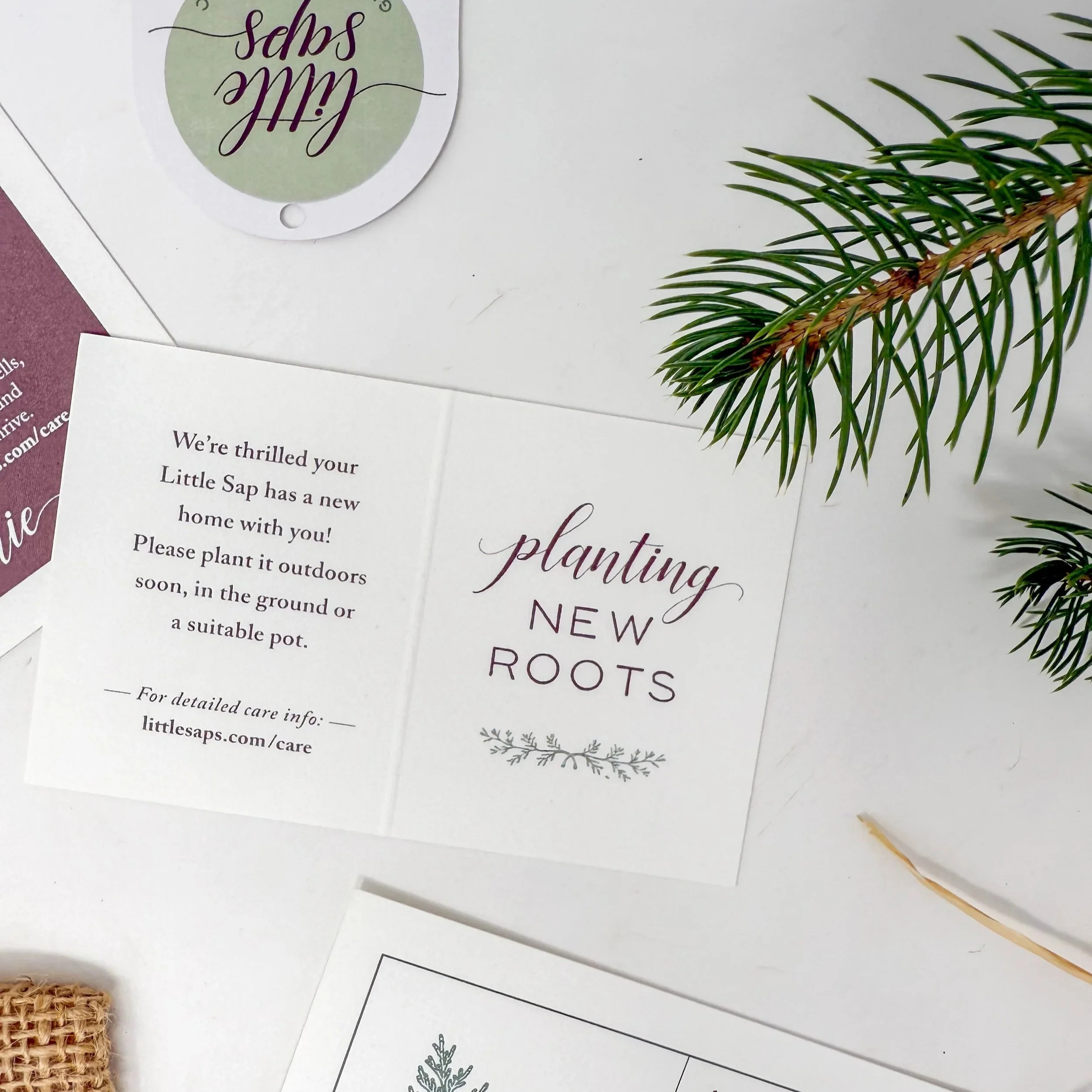 Tag+-+Planting+New+Roots.jpg