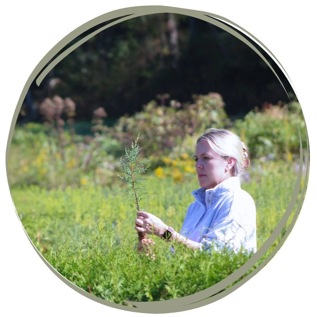 How Falling in Love with Trees Helped Me Heal My Body Mind and Spirit