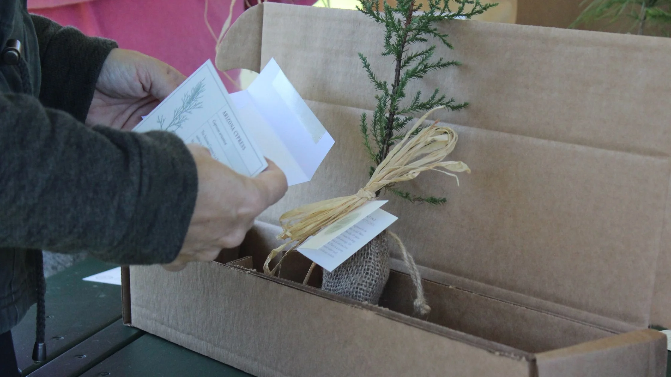 Employee Appreciation Gifts That Actually Feel Meaningful (Not Like Swag)