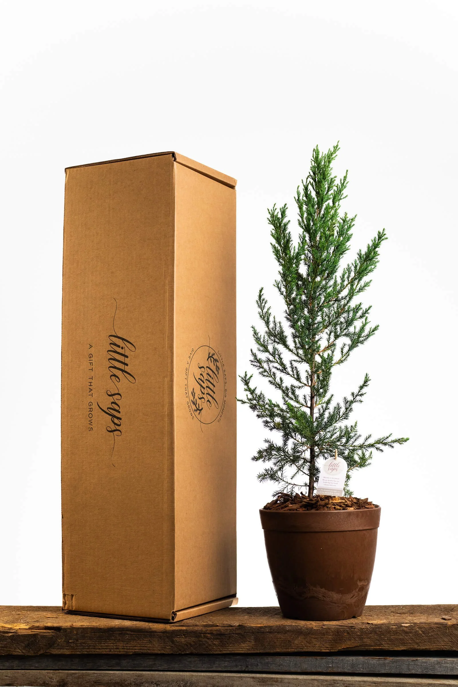 Anniversary Gift Tree