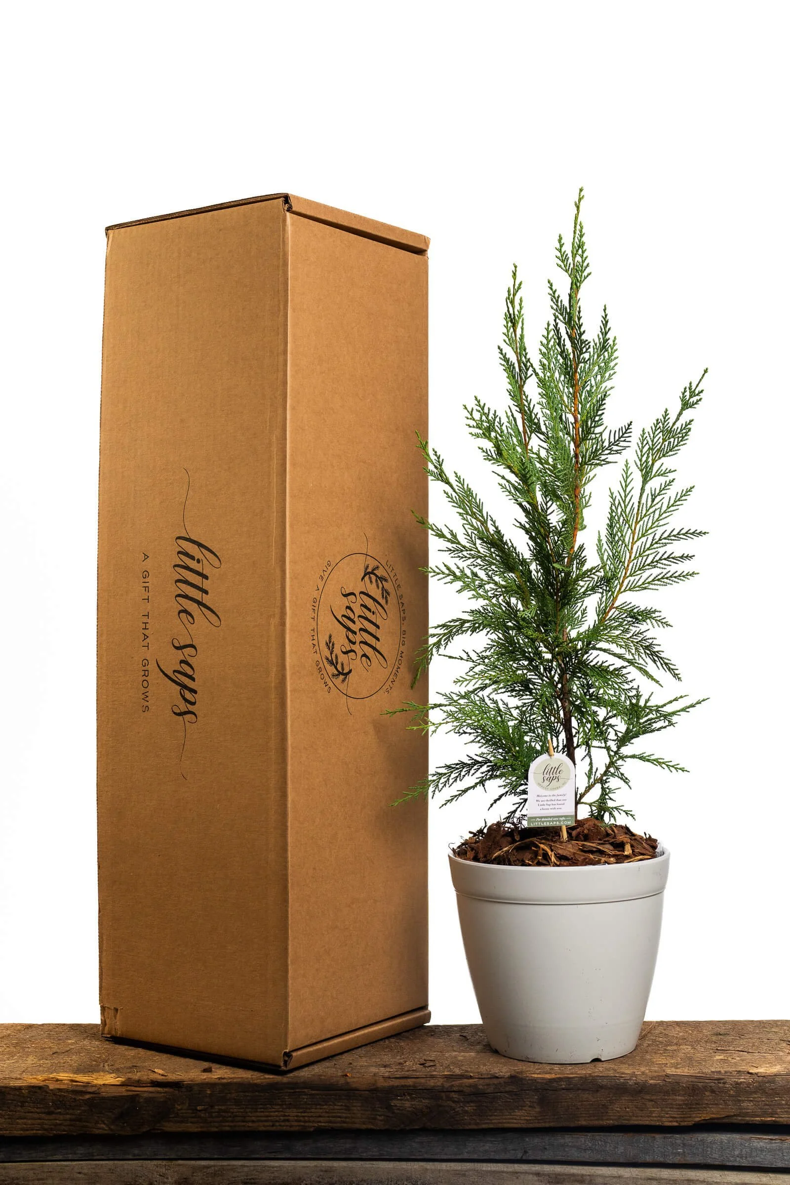 Anniversary Gift Tree