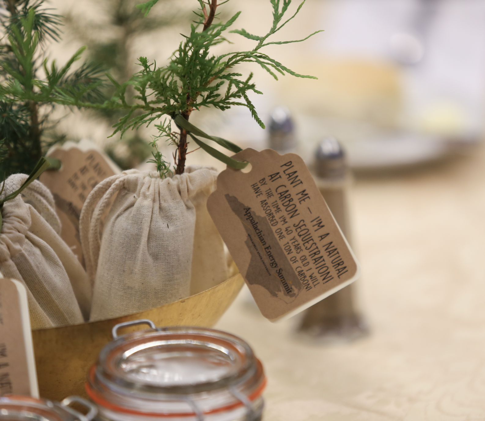 A small potted plant, possibly a young tree, wrapped in a drawstring cloth bag, with a tag indicating it is a natural plant from Appalachlan Energy Summit, placed in a gold-colored container on a blurred background with jars.