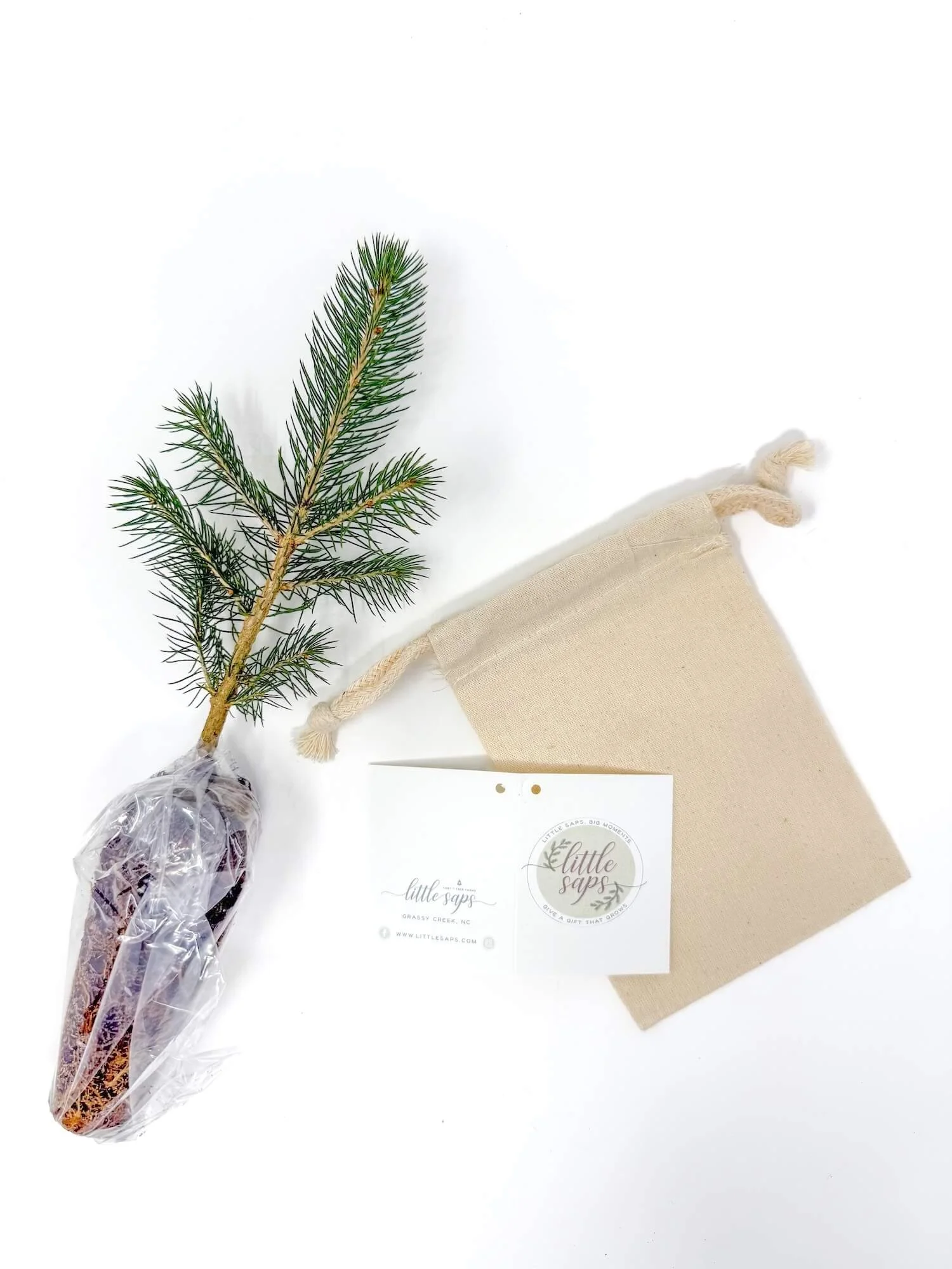 Do It Yourself Favors