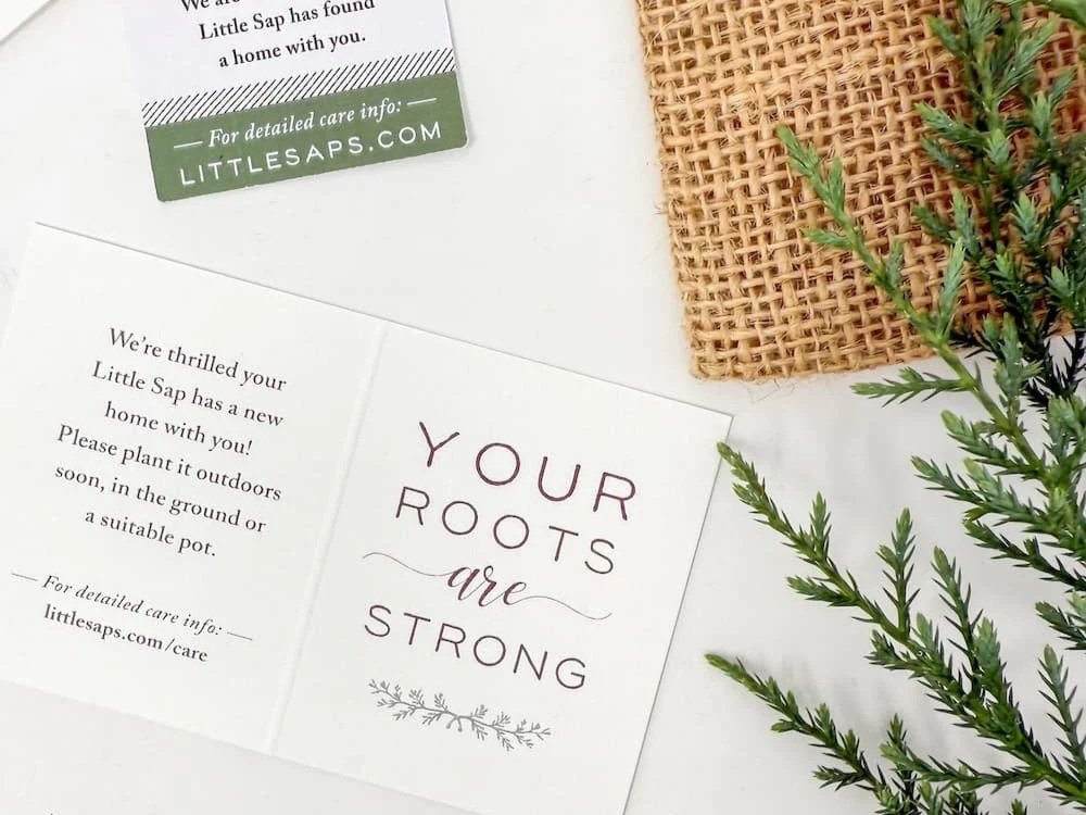 Little Saps gift tag that reads Your Roots are Strong