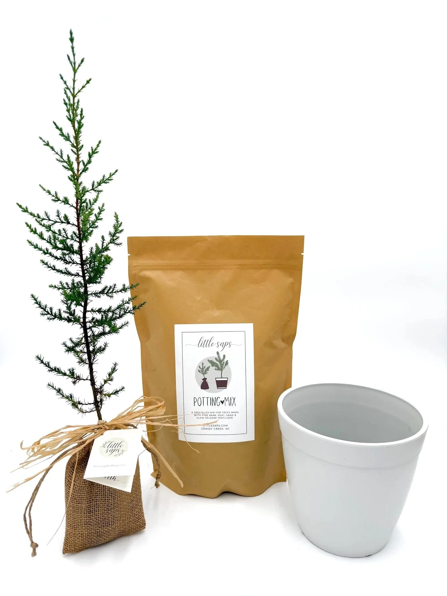 Small Sapling & Planting Kit (White Pot)