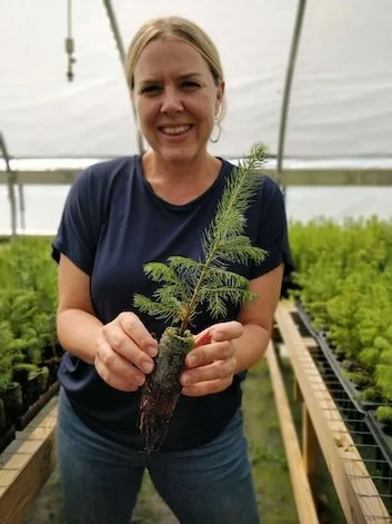Little Saps Founder Carrie holding a gift tree sapling in the greenhouse