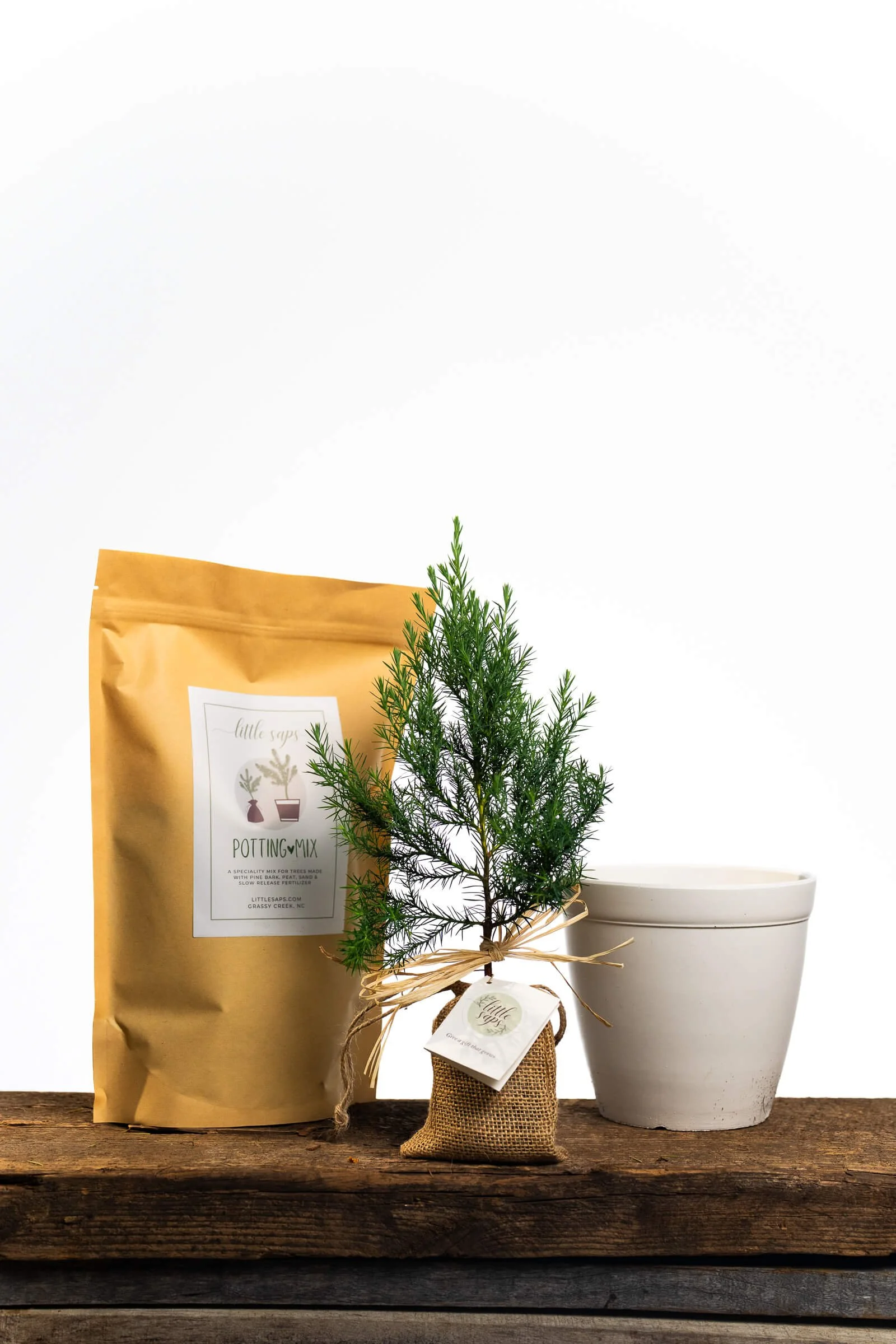 Small Sapling & Planting Kit (White Pot)