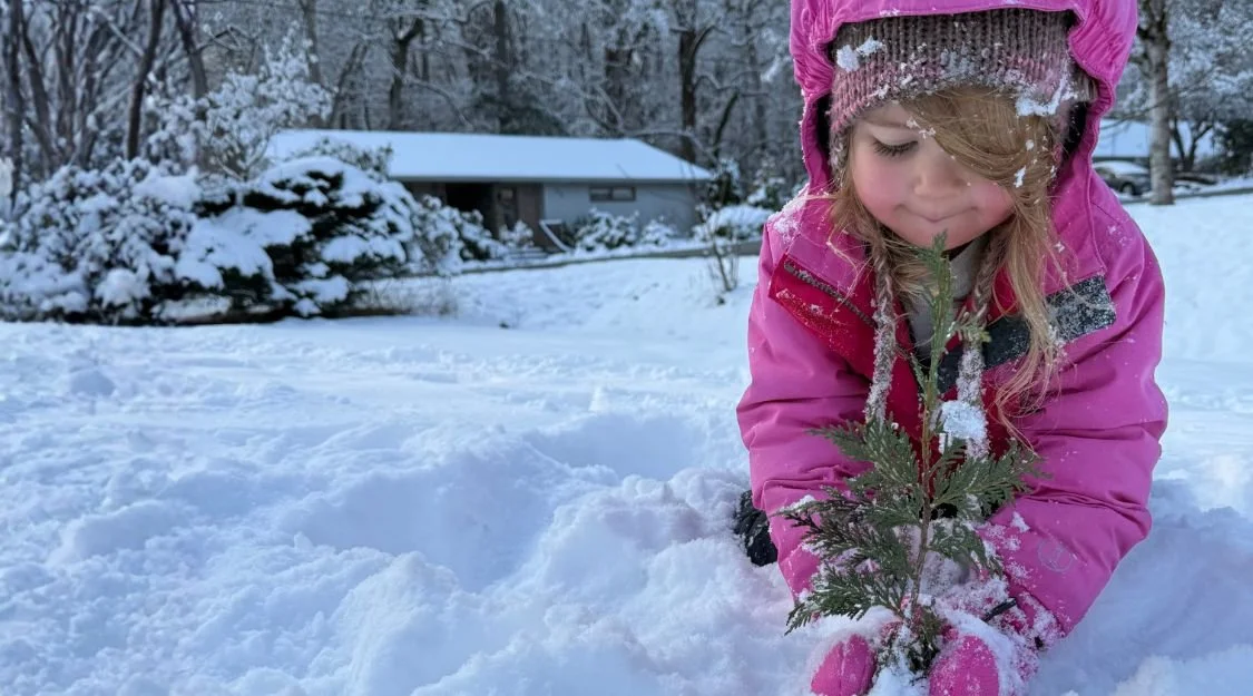 A little girl protecting her Little Sap evergreen gift tree in a winter landscape