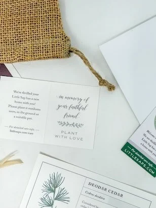 Little Saps gift tree tag In Memory of Your Faithful Friend