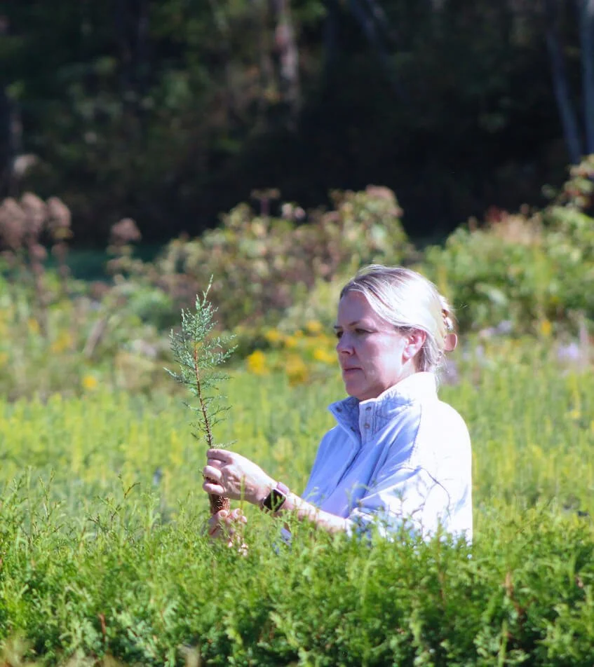 Little Saps founder Carrie looking at a tree seedling at the farm