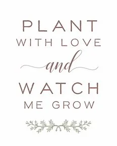Little Saps gift tree gift tag Plant with Love and Watch Me Grow