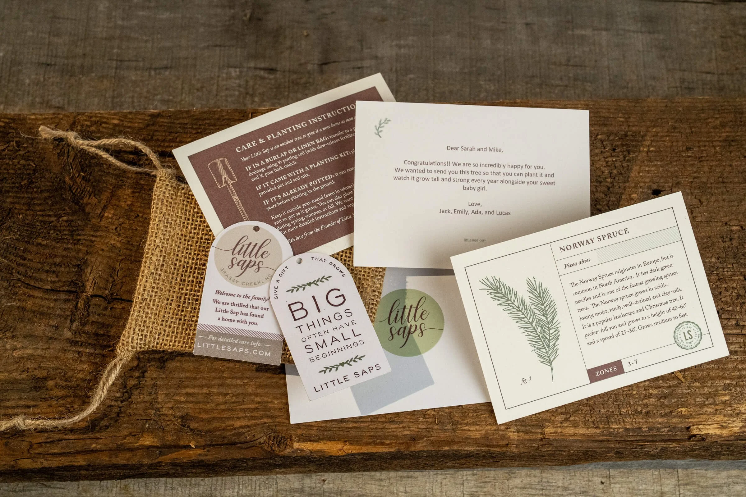 shop-gift-trees_what-is-in-the-box_all-occasions.jpg