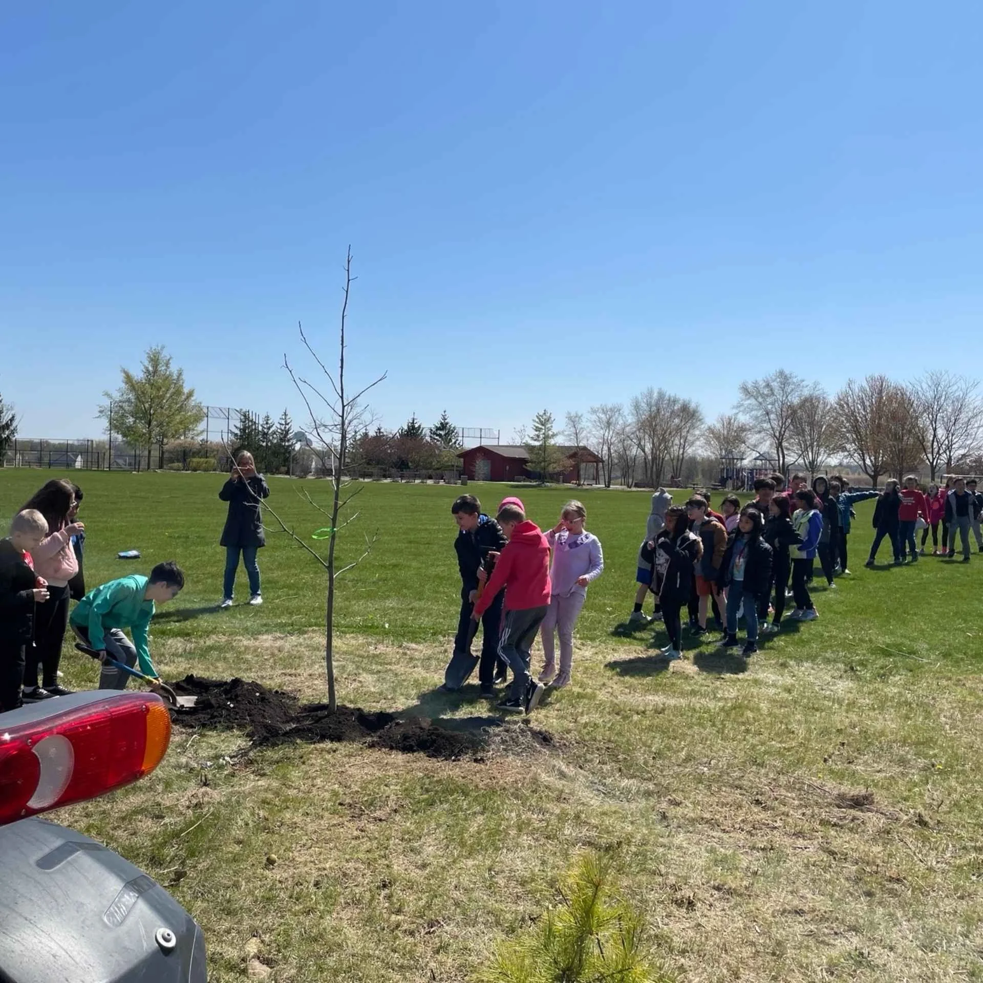 Community members planting trees together for Arbor Day activities that support the environment