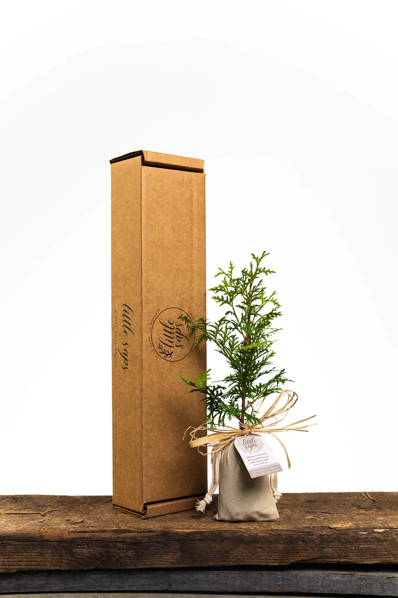 send-a-memorial-tree_small-sapling-in-linen-bag-sympathy-gift-tree-with-shipping-box.jpg