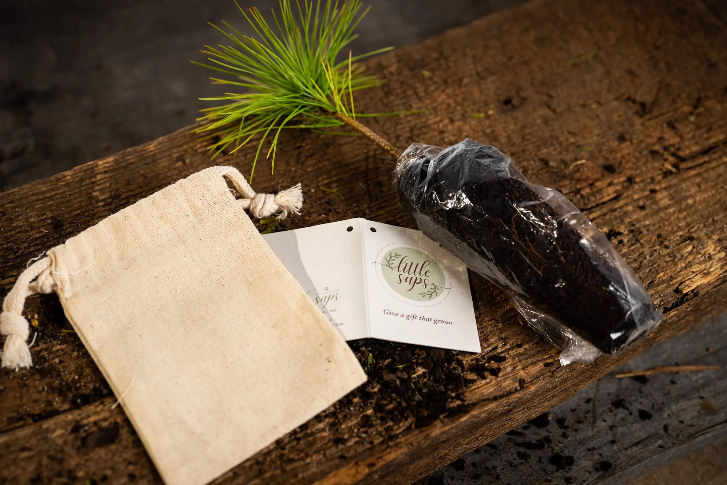 shop-event-favors_do-it-yourself-tree-seedling-event-favor_linen-bag-kit.jpg