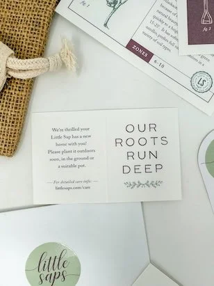 Little Saps gift tree tag Our Roots Run Deep